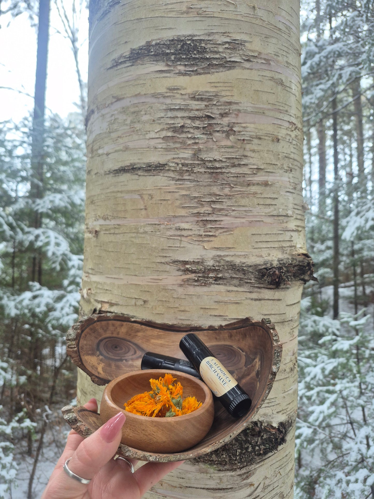 CALENDULA BIRCH Salve