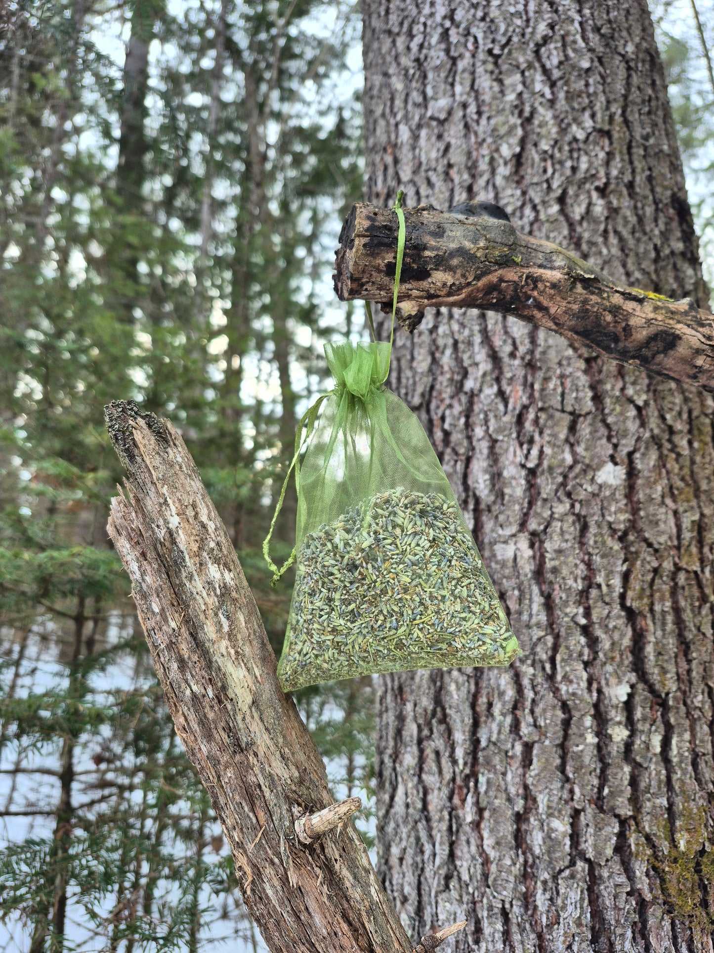 LAVENDER Sachet