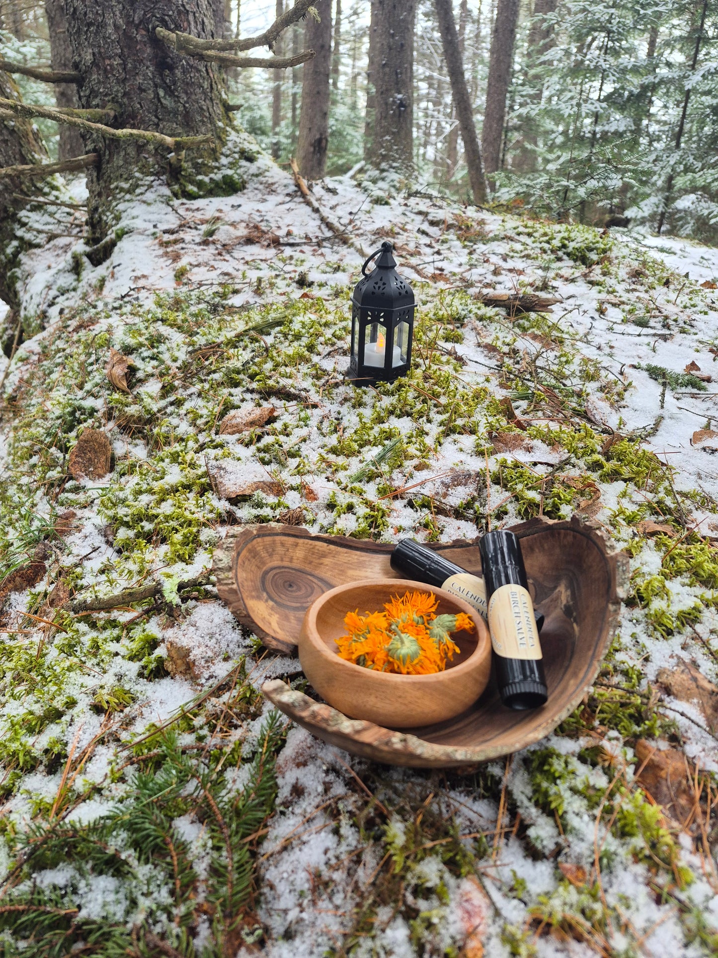 CALENDULA BIRCH Salve