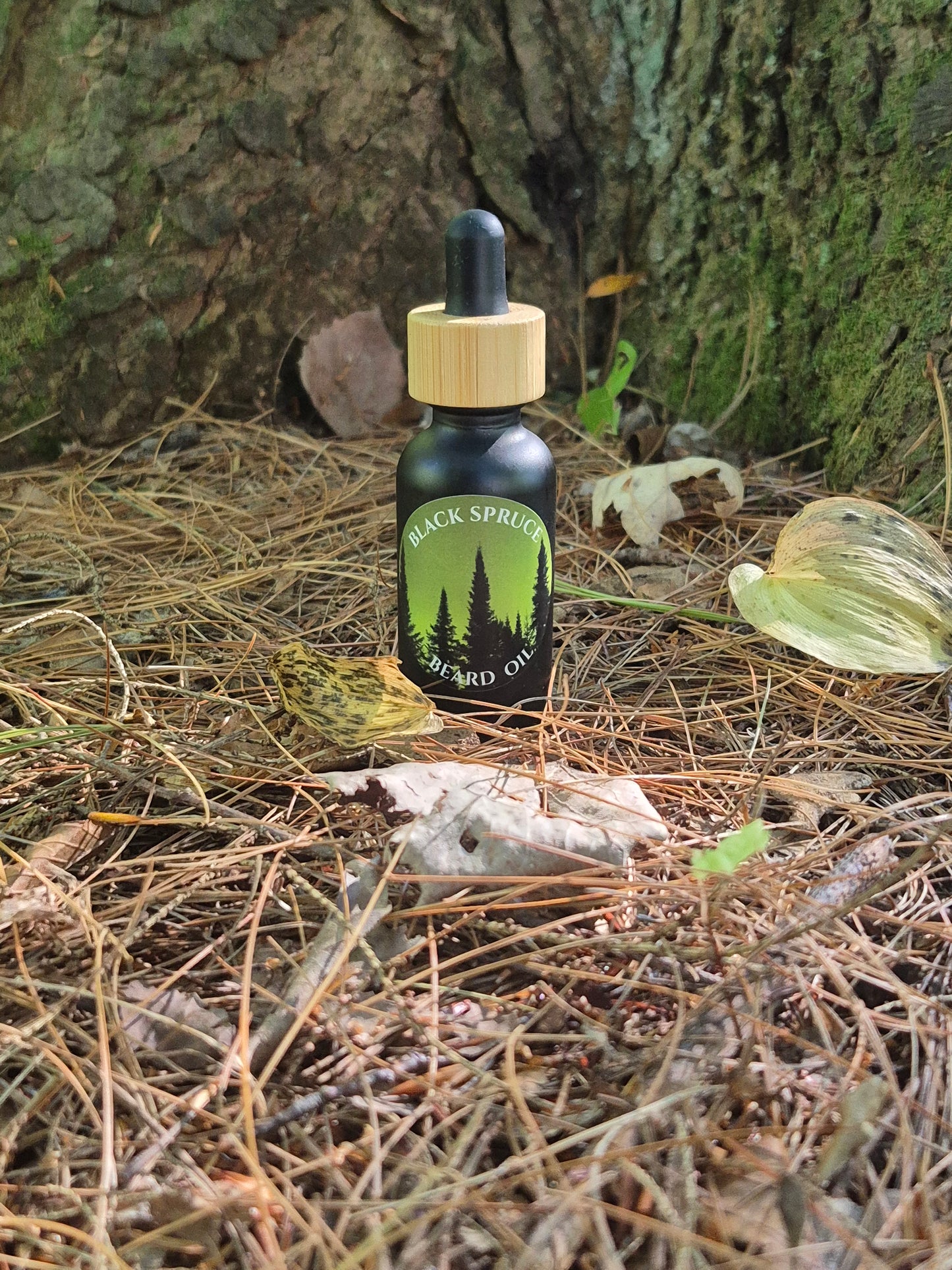 BLACK SPRUCE Beard Oil